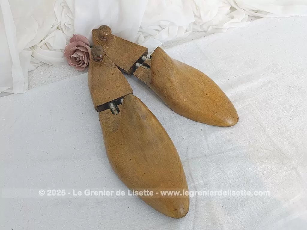 Anciens embauchoirs bois articulés pointure 43 – Image 4