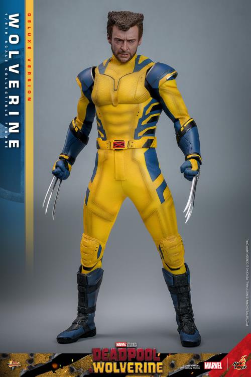 Hot Toys MMS574 Deadpool and Wolverine Deluxe Wolverine 1/6 Scale Figure – Image 4
